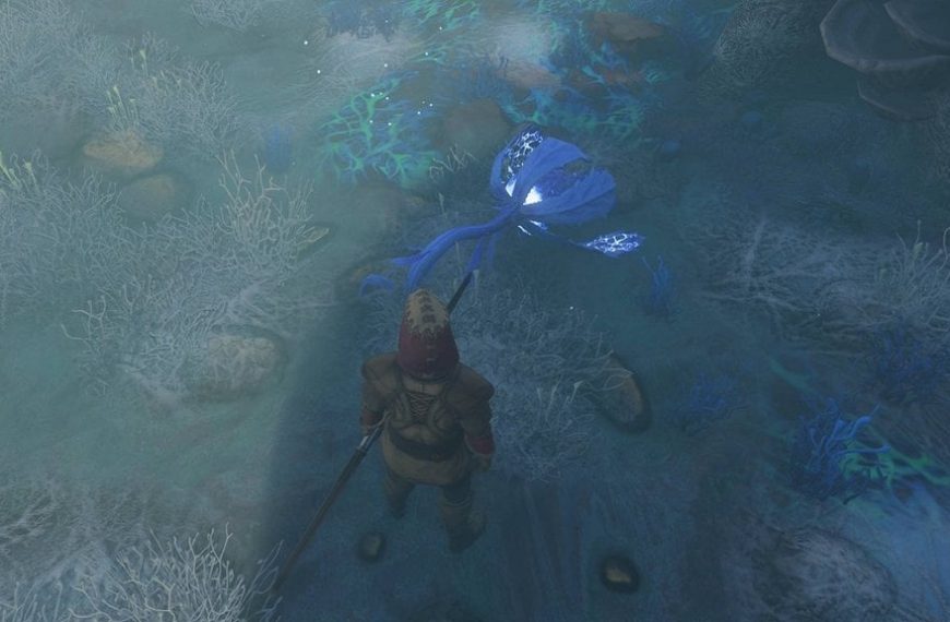 Sac de brume Enshrouded 1.0 : Où en trouver ?