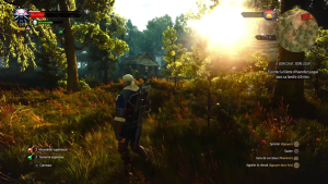 The Witcher 3 Remastered : graphismes, difficulté… toutes les options à activer ou désactiver absolument avant de jouer
