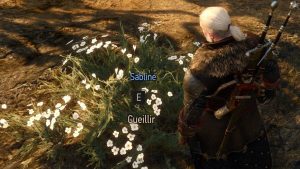Sabline The Witcher 3 Remastered : Où trouver cette fleur ?