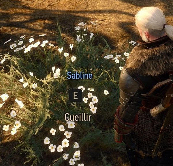 Sabline The Witcher 3 Remastered : Où trouver cette fleur ?