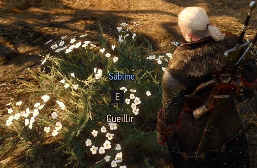 Sabline The Witcher 3 Remastered : Où trouver cette fleur ?