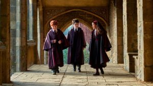 Harry Potter : après le récent rachat, la série pourrait être diffusée sur une autre plate-forme de streaming