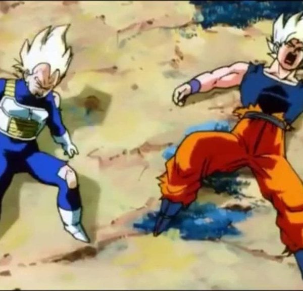 Akira Toriyama l’avait confirmé il y a 11 ans : Goku et Vegeta ne sont pas les guerriers les plus puissants de Dragon Ball