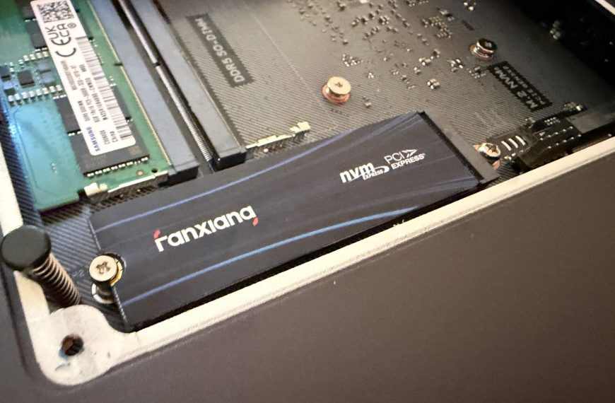 Test du SSD NVMe 1 To Fanxiang dans mon NAS